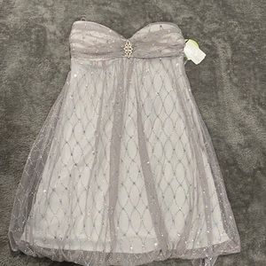 Windsor Silver Strapless Mini Dress